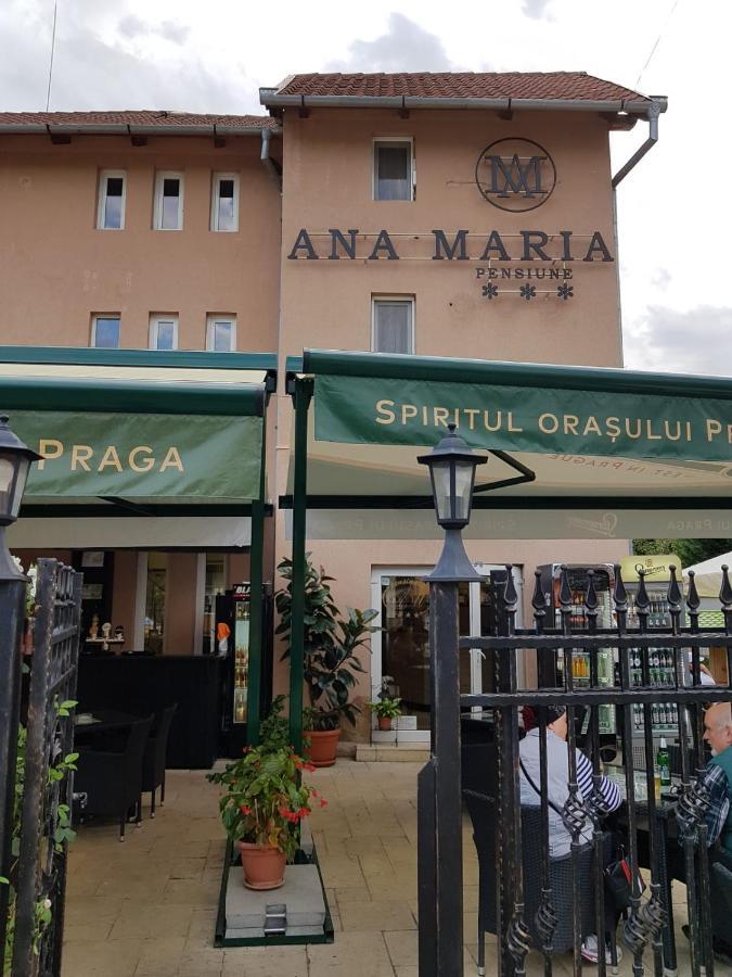 ביילה פליקס Pensiunea Ana Maria מראה חיצוני תמונה