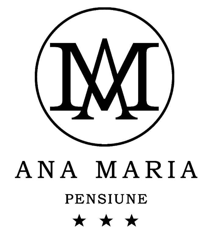 ביילה פליקס Pensiunea Ana Maria מראה חיצוני תמונה